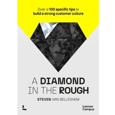 A Diamond In The Rough - Steven Van Belleghem