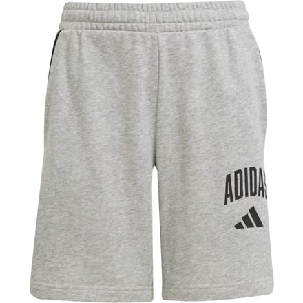 Adidas Seasonals Essentials Collegiate Typography Korte Broek Grijs 11-12 Years Kinderen