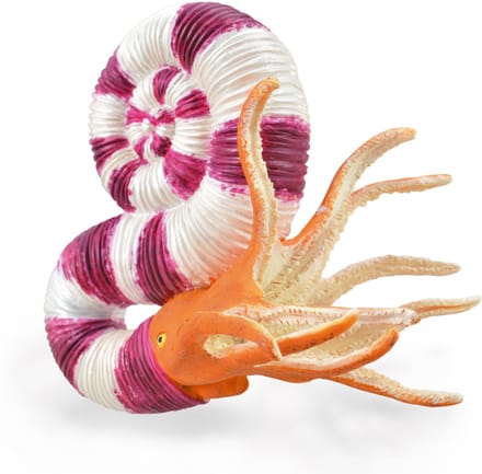 COLLECTA Figurine - Pravitoceras - (L) - Prehistorie - Handgeschilderd - Miniatuur