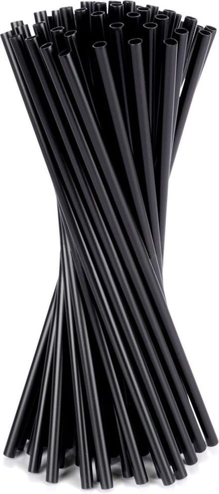 Vilde Drinkrietjes Plastic - 22 cm - Zwart