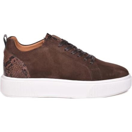 Cycleur de Luxe Megan dames