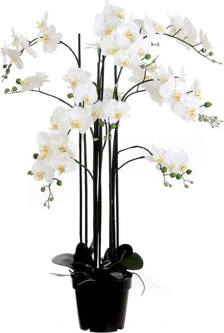 Kunstplant Orchidee Phalaenopsis Crème - Wit - H 117cm - Kunststof sierpot - Mica Decorations