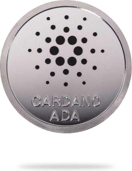 New Age Devi - Cardano-munt zilver - cryptotoken - fysieke munt