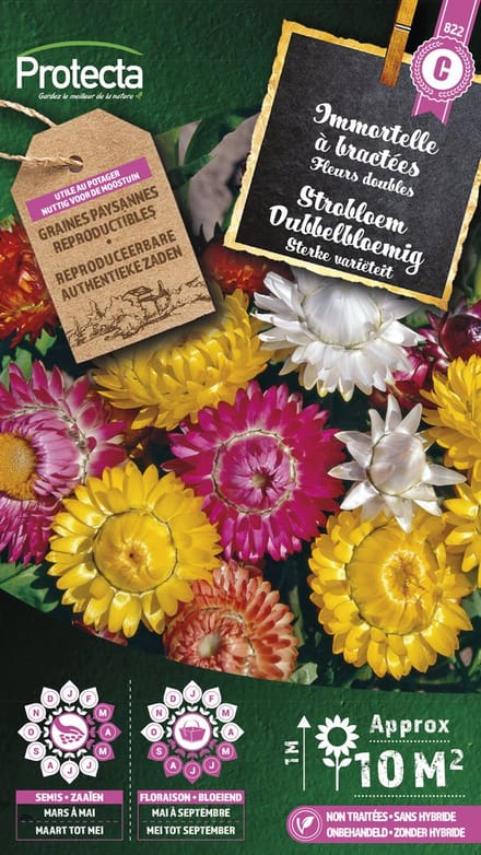 Protecta Bloemen zaden: Strobloem Dubbelbloemig