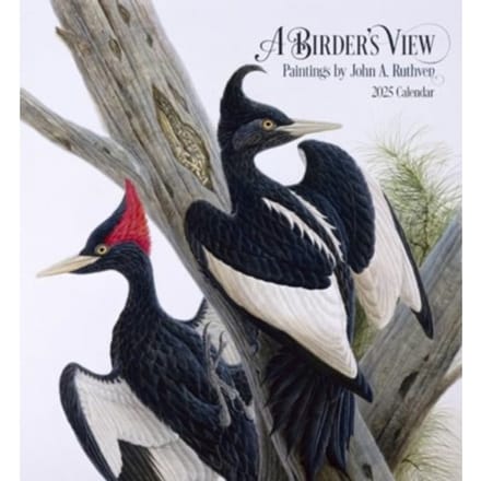 A Birder's View - A. Ruthven, John