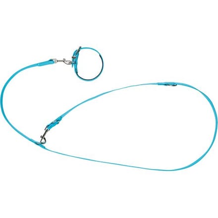 zoofari Hondenhalsband en -lijn (S)
