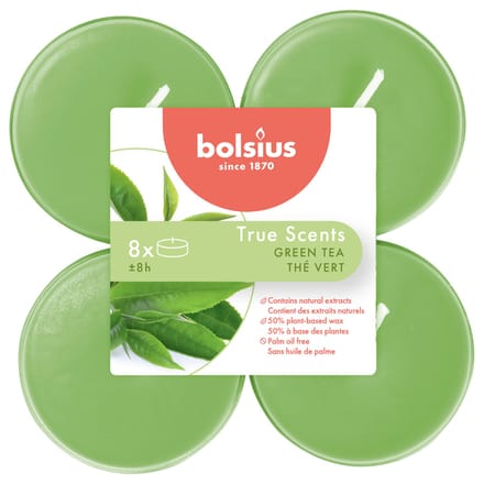 Bolsius - Maxilichten - True Scents, Groene Thee, 8 stuks, 8 uur