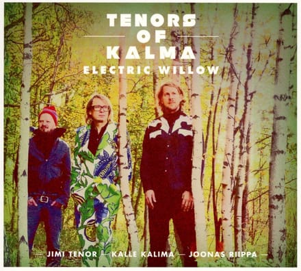 Electric Willow (CD)