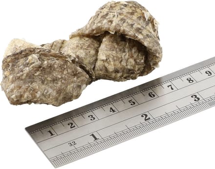Fish4Dogs Dental - Sea Jerky Fish Knots - 100 g