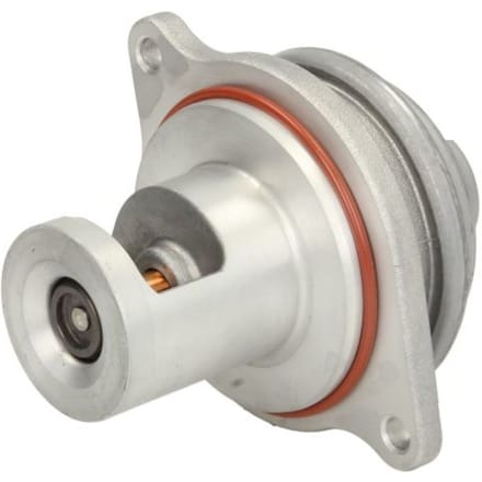 EGR-klep PIERBURG 7.00306.36.0