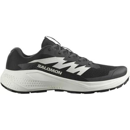 Lage Sneakers Salomon Alphaglide