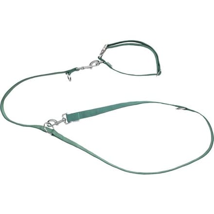 ZOOFARI Hondenhalsband en riem (Groen, M)