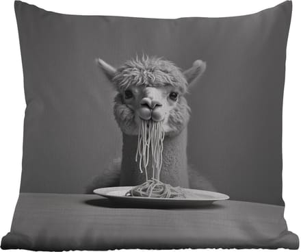 Buitenkussen - Alpaca - Pasta - Zwart - Wit - Grappig - Dieren - 45x45 cm - Weerbestendig