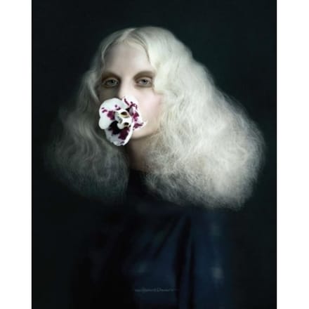 Past Present - Justine Tjallinks