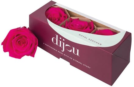 3x Dc pres.rozen fuchsia 2395c