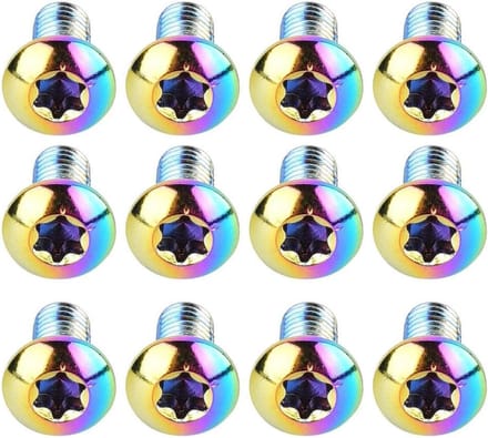 Bicycle Brake Screws voor Schijfrem Rotor - 12 Stuks T25 Schroeven, Fietsonderdelen, Multicolor
