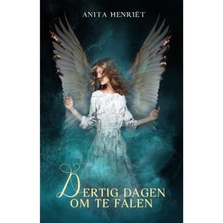 Dertig Dagen Om Te Falen - Anita Henriët