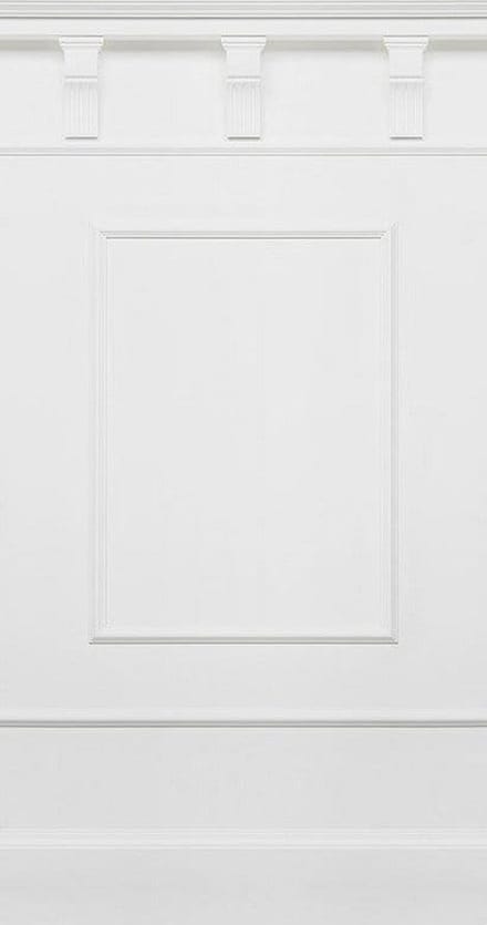 Fotobehang - Panel Pure 100x250cm - Vliesbehang