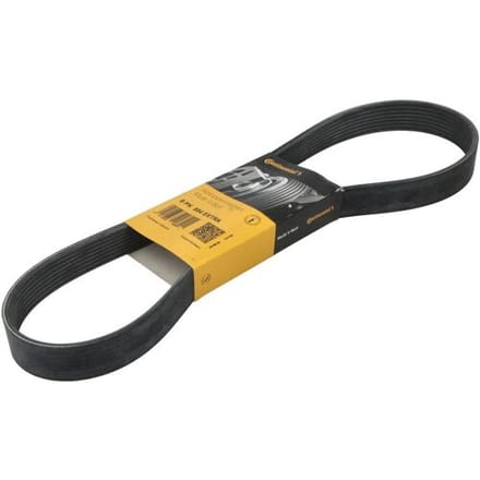 Continental Ctam V-riem CONTINENTAL 8 PK 954 EXTRA