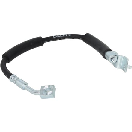 Remslang DELPHI LH0421