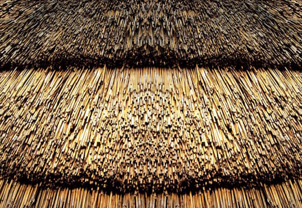 Fotobehang Straw Nature Texture | XL - 208cm x 146cm | 130g/m2 Vlies