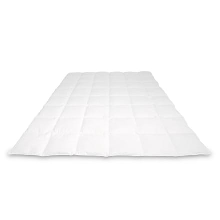 Cassenz REMBRANDT | donzen dekbed | 100% ganzendons | Zomer | warmteklasse 4 - 240/220cm - 360gr.