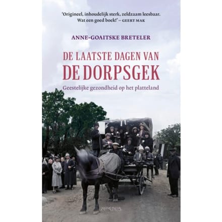 De Laatste Dagen Van De Dorpsgek - Anne-Goaitske Breteler