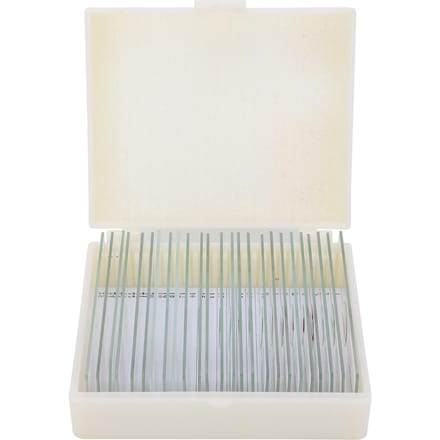 DW‑25 25 stuks dierlijke preparaten microscooppreparaten specimens voor wetenschappelijk onderwijs white