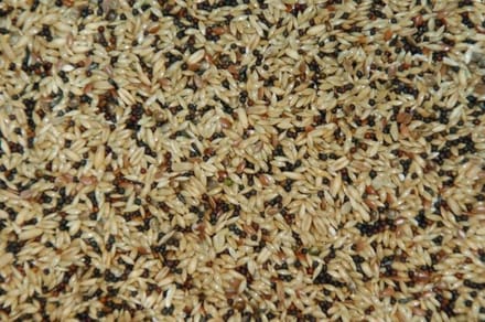 Wielink Zoet super kanarievoer 20KG