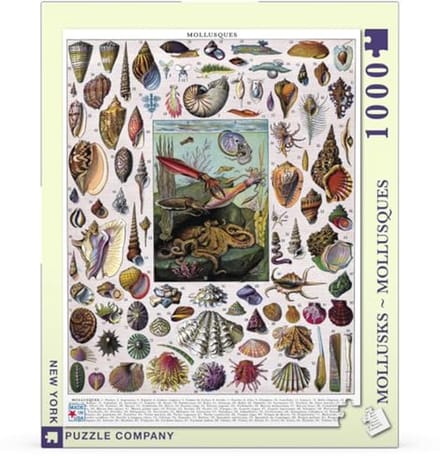 Mollusken Puzzel - Puzzelen met Zeedieren