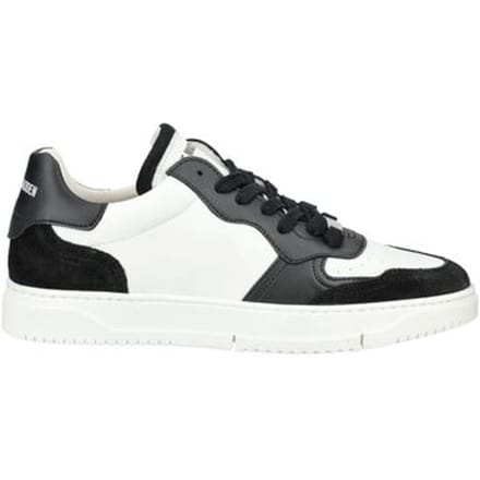 Lage Sneakers Steve Madden Sneaker