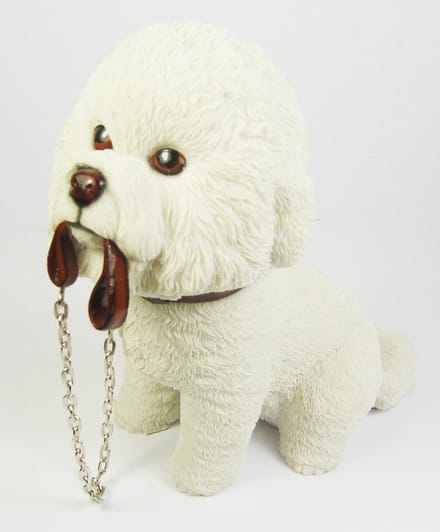 Leonardo Bichon Frise