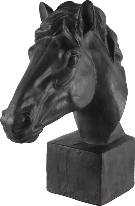 Countryfield Paardenhoofd Fury antraciet