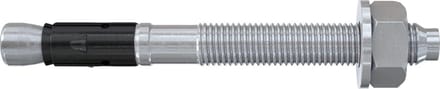 Fischer 564604 schroefanker & muurplug 5 stuk(s) 302 mm