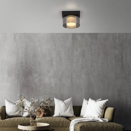 Paul Neuhaus LED plafondlamp Rika, Ø 15 cm, glas, dimbaar
