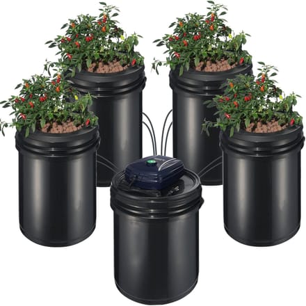 RDWC Hydroponisch Systeem Circulerende Diepwatercultuur 4 Bakken 5 Gallon