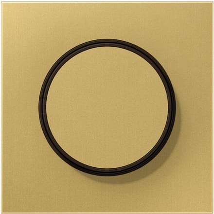 Jung LS Bereik Classic Messing Dimmer Afdekking Plaat - ME1740C