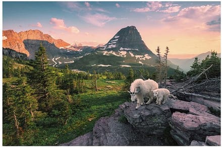 Ravensburger puzzel Alpine geit met jong - Legpuzzel - 3000 stukjes
