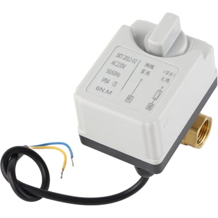Gemotoriseerde Kogelkraan Elektrisch 2-Weg Normaal Open Handmatig Automatisch DN15 AC220V