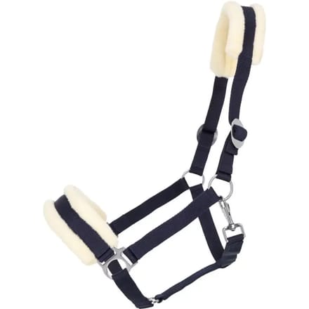 Halster voor paarden Q-essentials Cali