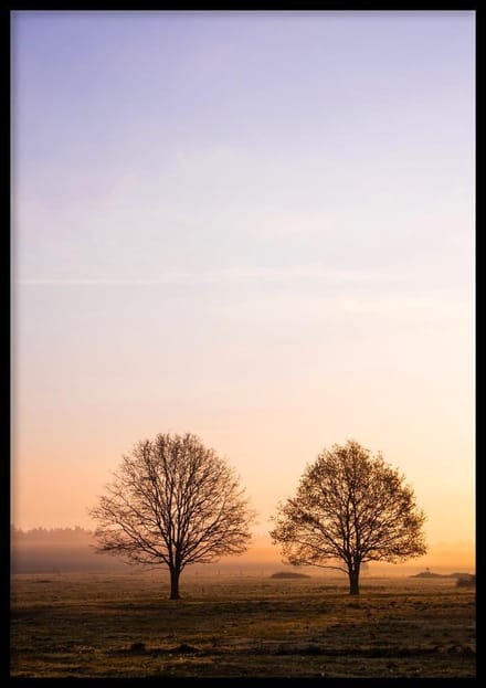 Poster Two Trees - 30x40 cm Met Fotolijst - Poster Natuur - WALLLL