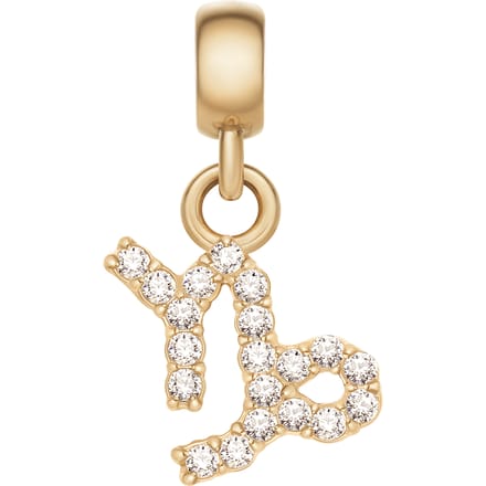 Daniel Wellington DW Charm Zodiac Gold