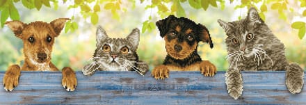 DIAMOND DOTZ Hang In There - Diamond Painting - 9.425 Dotz - 81x28 cm