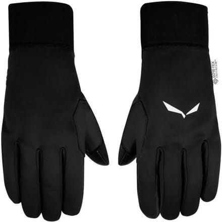 Bergschoenen Salewa Sesvenna Windstopper Grip