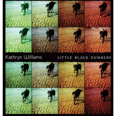 Kathryn Williams - Little Black Numbers (CD)