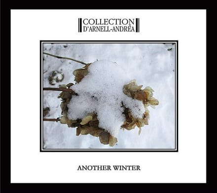 Another Winter (Digi)