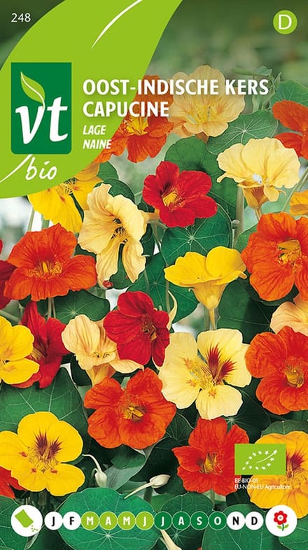 Oost-Indische Kers Lage Bio Zaden - Eetbare Bloemen en Bladeren met Makkelijke Teelt
