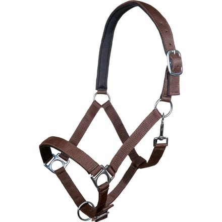 Halster voor paarden HKM Stars