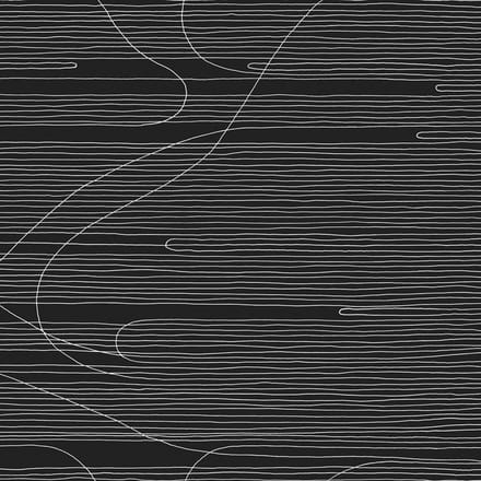 Oneida - Absolute II (LP)