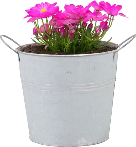 Mega Collections Plantenpot/bloempot/emmer - zink - whitewash - D14 x H12 cm